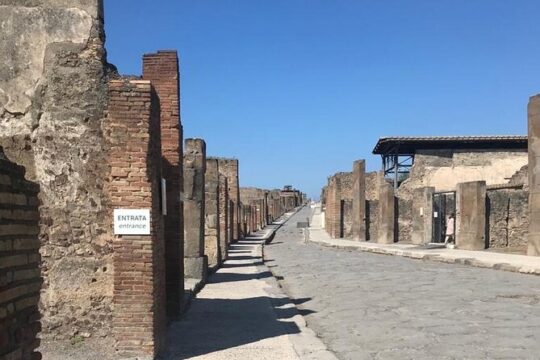 Guided Tour of the Pompeii Excavations from the Amalfi Coast