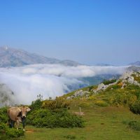 Private & Custom Tours