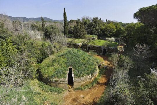Cerveteri - The Etruscan Necropolis Private Tour from Rome