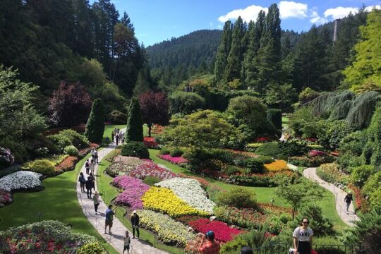 Private Tour Countryside Roads to Butchart Gardens & City - 5 hrs
