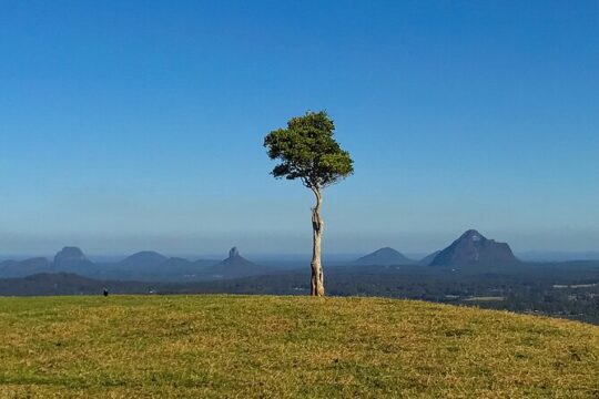 Maleny & Montville Tour with Artisan Village, Lunch, Wine Tasting