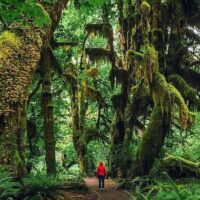 Layover Tours