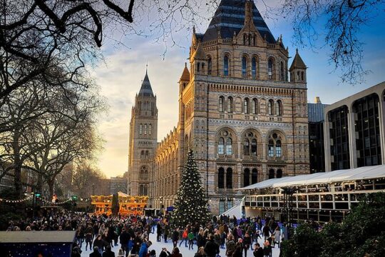 Discover Londons Natural Marvels Museum Expedition