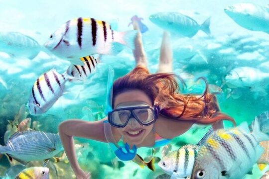 Aqua Adrenaline | Reefs + Cenote + Lagoon / Turtles