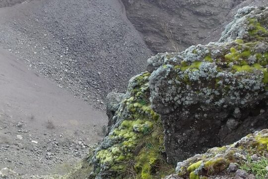 Transfer-Rome to Amalfi with a 2 hour stop in Mount Vesuvius or vice versa