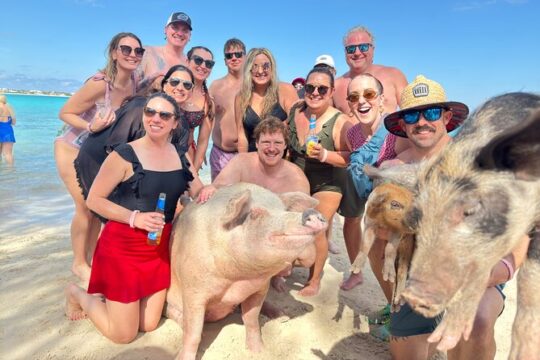 Nassau (:) Swimming with Pigs, turtles , snorkeling, Harbour Tour