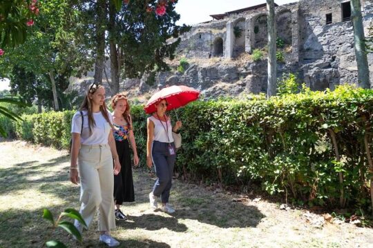 Stories of Pompeii: A Journey Back in Time Guided tour