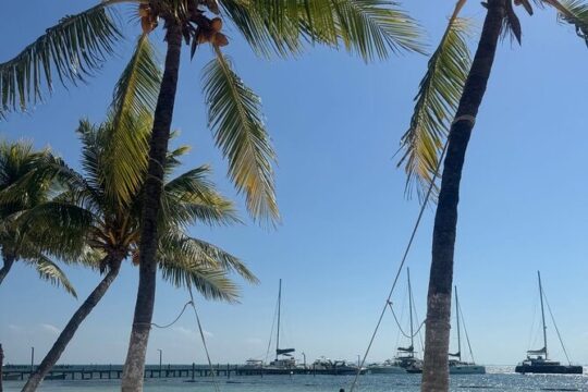 Isla Mujeres North Beach Tour with Snorkel Buffet and Open Bar