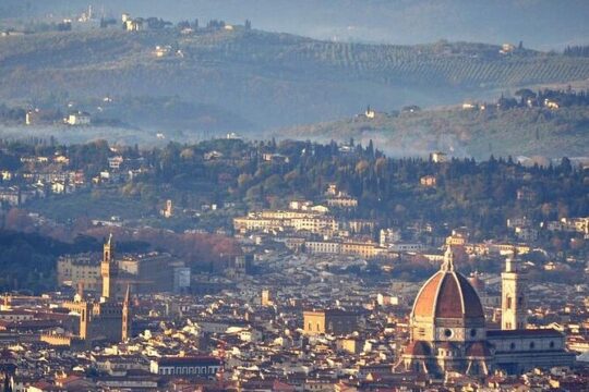 Panorama Florence's Scenic Views on a Vintage Van Tour