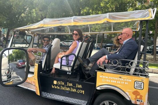 Private guided tour in Tuk-Tuk through Madrid Castizo