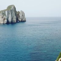 Tours & Sightseeing
