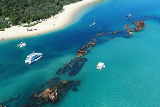All-Inclusive Dolphin & Tangalooma Wrecks Day Cruise (Gold Coast Transfer)