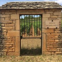Luxury Tours