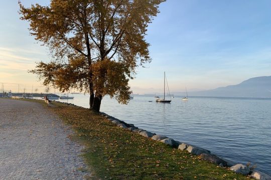 Vancouver Waterfront Guided Bike / Ebike Tour