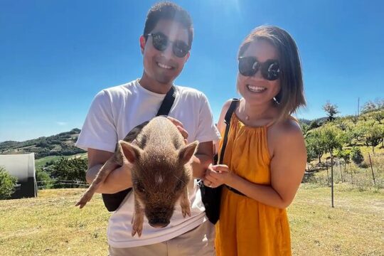 FARM STAY EXPERIENCE & DOZZA - Private Day Tour From Bologna
