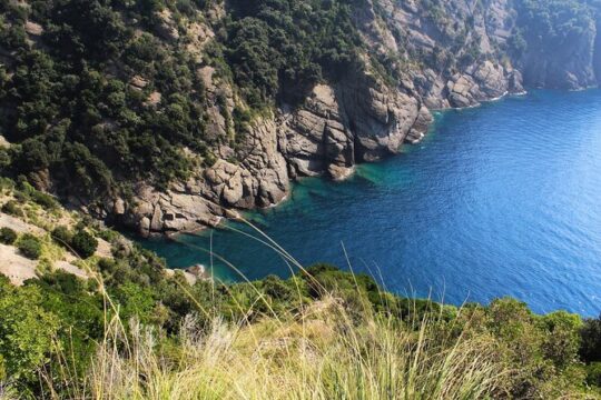 Guided Eco Hiking and Sea View Wine Tasting in Portofino Park