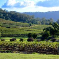 Food, Wine & Nightlife