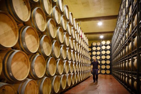 From Bilbao to La Rioja A day of Winery Tours and Tastings