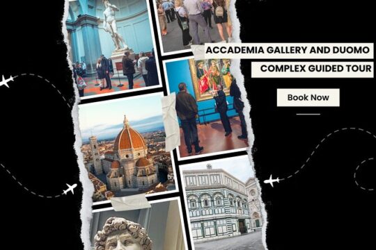 Duomo Complex & Accademia Gallery Tour with Cupola Entry Tickets