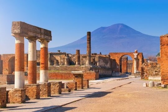 POMPEI TOUR Half Day - departure from NAPLES center (entrance ticket INCLUDED)