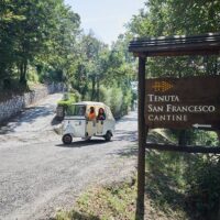 Plantation Tours