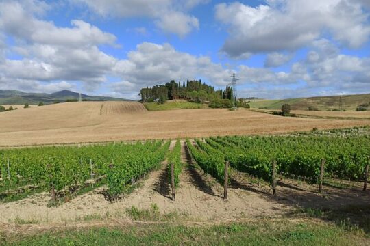 "Ramble Through The Rolling Hills Of Chianti" with lunch and 2 wine tastings