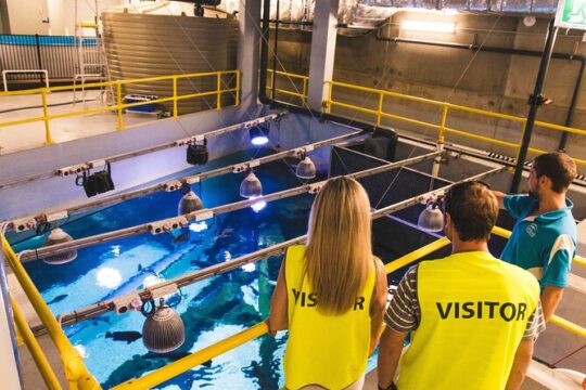 Cairns Aquarium Marine Life Encounter Ticket