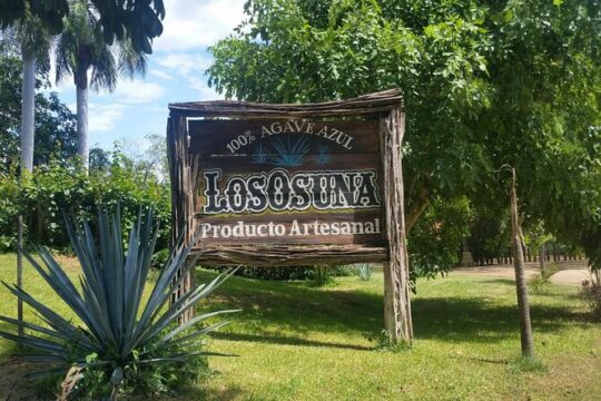 Private Colonial Tour Tequila and La Noria