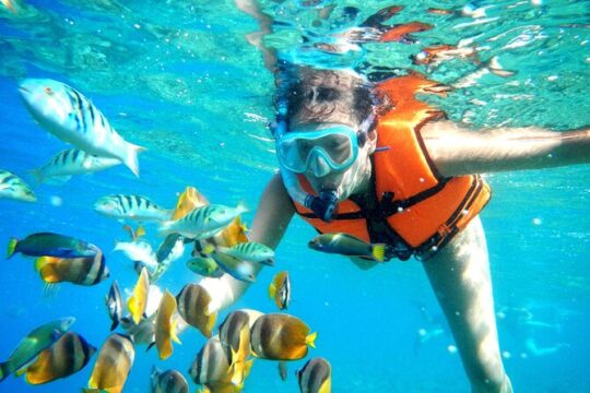 Half-Day Puerto Morelos Snorkeling Experience with Lunch