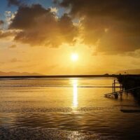 Shore Excursions