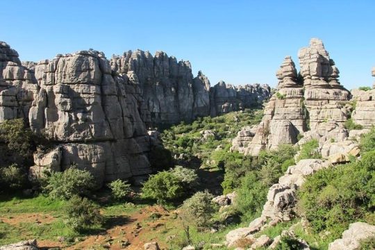 Private Cordoba Tour and Day Trip to Antequera