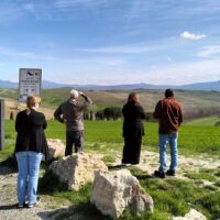 Shore Excursions