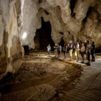 Cultural & Theme Tours