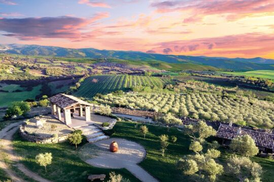 One Day Tour of Nuraxi and Olianas Cellars with Lunch