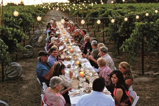 Dinner in the Vineyards