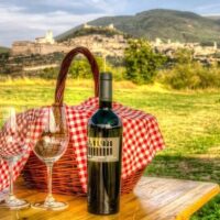 Walking & Biking Tours