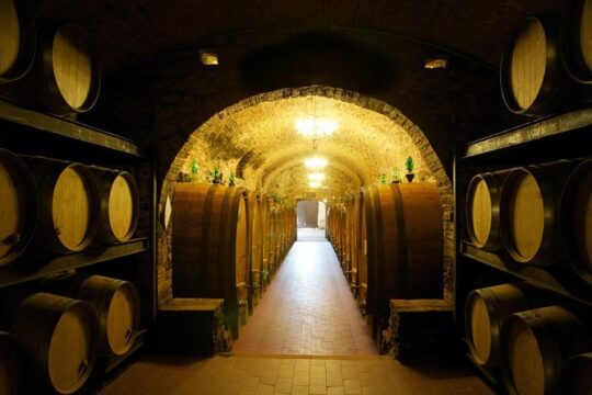 Siena and Chianti Wineries Excursion by Private Luxury Van from Florence