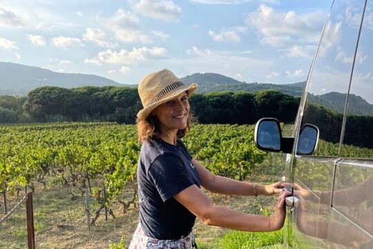 Small group wine tour in the vineyards of the Gulf of St-Tropez