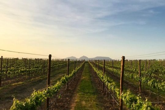 Costa Brava Coves Towns and Winery Private Tour