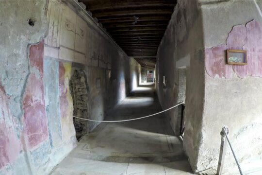 Pompeii, Herculaneum and Local wine tour from NAPLES