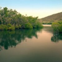 Walking & Biking Tours