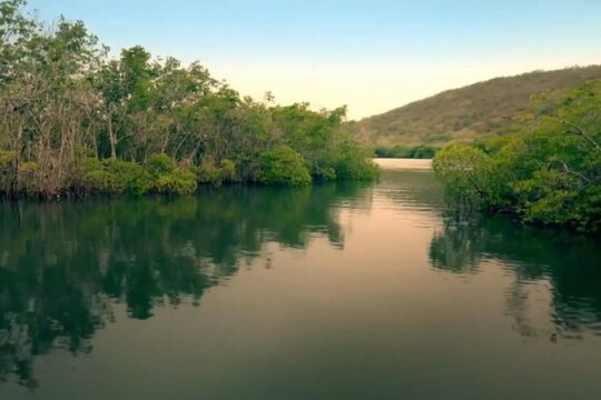 San Juan to La Parguera: Bio Bay Boat Tour with Hot Springs