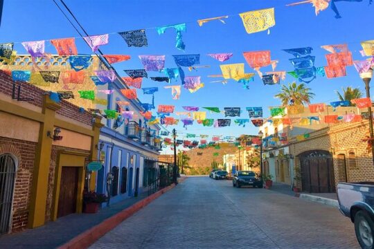 Todos Santos Magical Town Guided Tour
