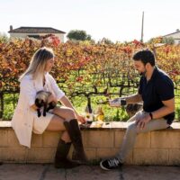Food, Wine & Nightlife