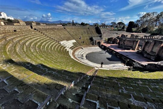 Pompeii and Vesuvius Tour with Lunch Wine Tasting from Sorrento