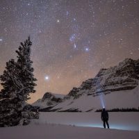 Night Tours
