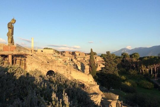 Pompeii & Naples: Full Day Tour with your Local Guide