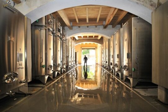 Full-Day Wine Tour around Luberon from Marseille
