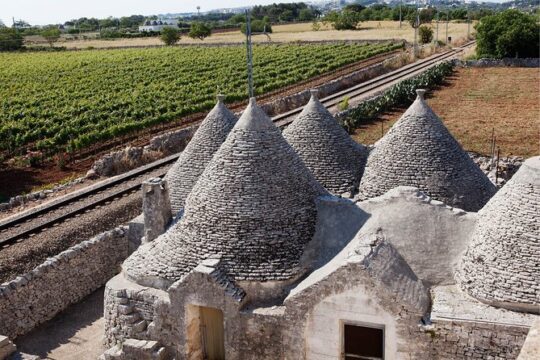 Private Wine Tour from Ostuni with Lunch including Alberobello and Locorotondo