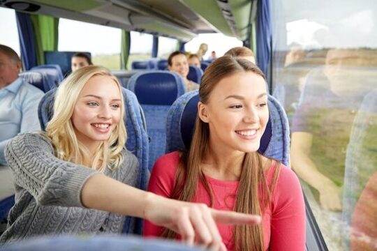 Shared Shuttle Transfer from Rome to Civitavecchia Port